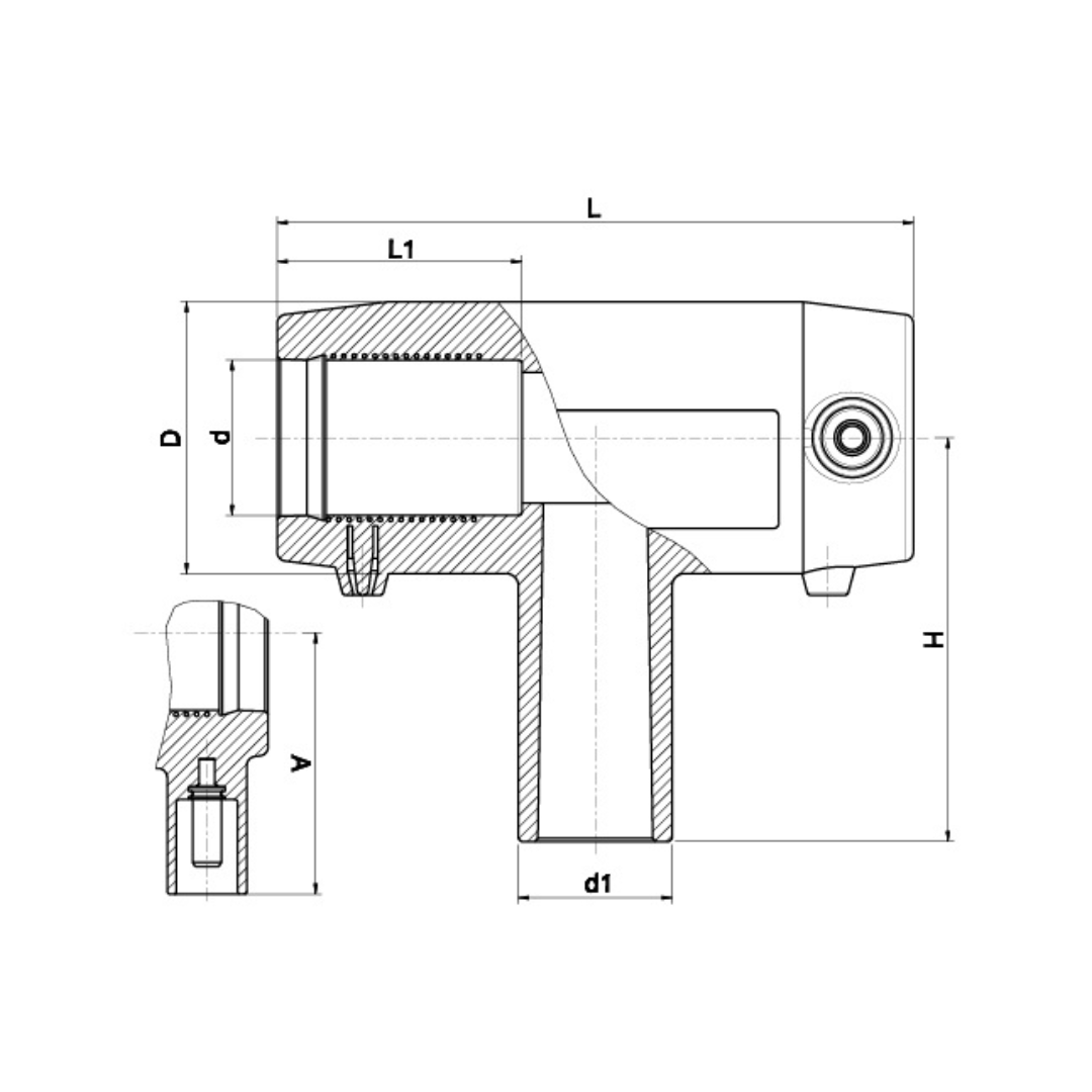 Technical dimension drawing of a cylindrical fitting or connector, shown in side and front cross-section with labelled dimensions L, D, H, A, d, d1, and L1 on a white background.