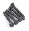 Hunter Foundry Finish Coach Bolt Soil Pipe Fixings - Pack of 10