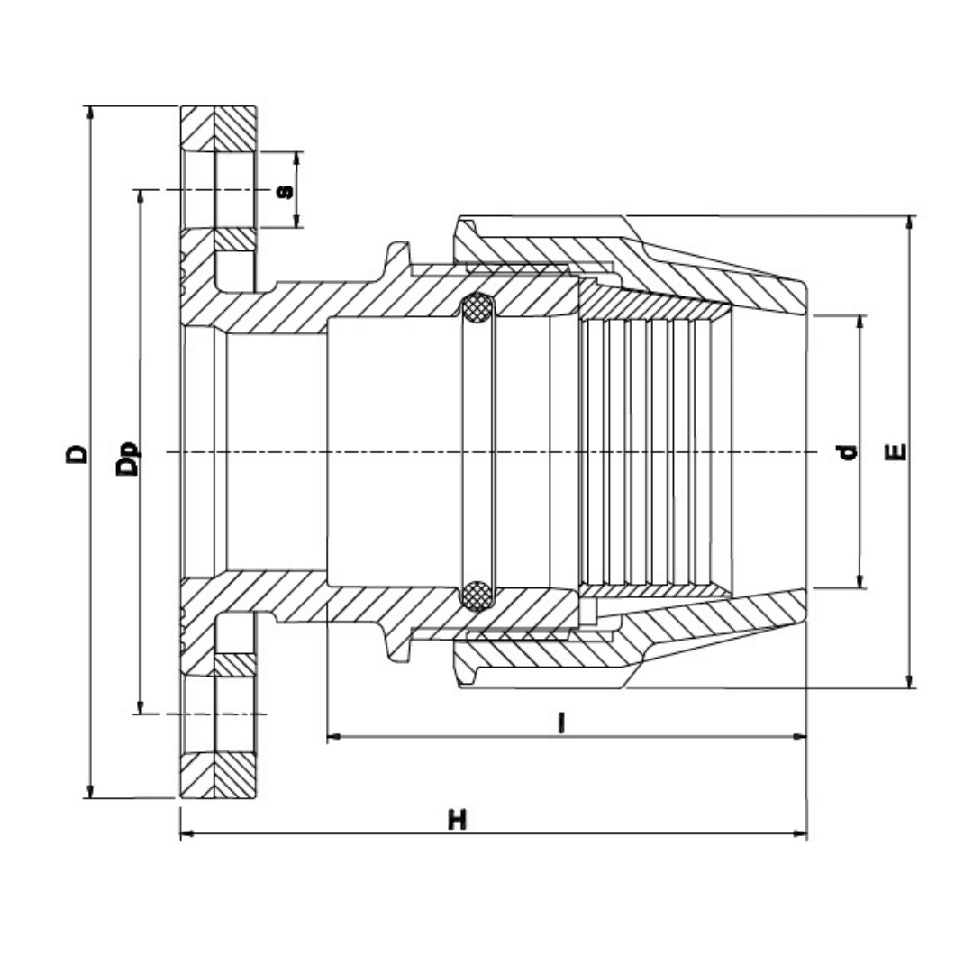 Technical cross-section dimension diagram of a threaded pipe fitting with labeled measurements D, Dp, d, E, h, and H on a white background.